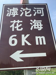 滹沱河畔百花盛开，石家庄市民赏花正当时